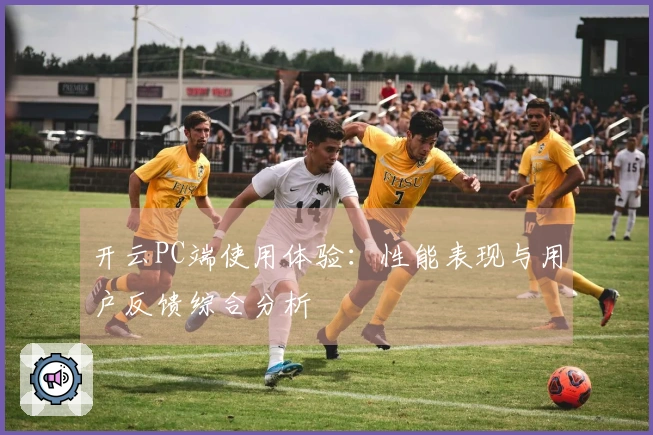 开云PC端使用体验：性能表现与用户反馈综合分析